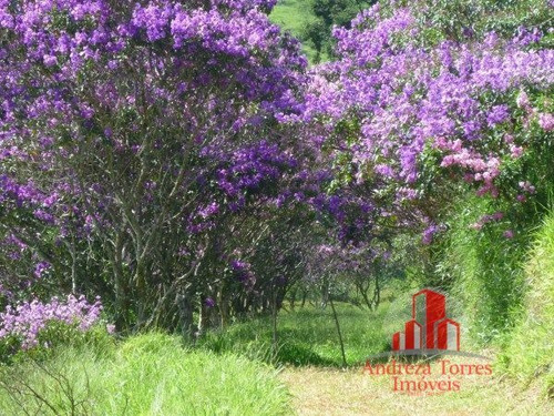 Imagem 7 de 30 de Sítio Sítio À Venda Em Taubaté/sp - 1386