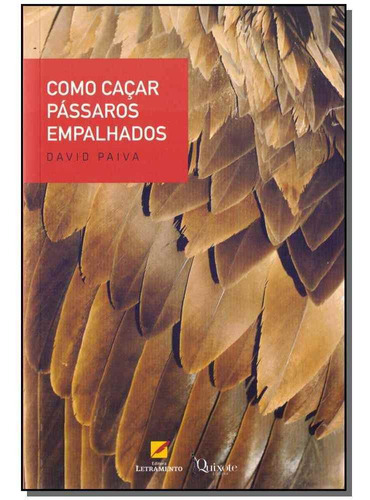 Como Caçar Pássaros Empalhados, De Paiva, David. Editora Letramento Editora Em Português