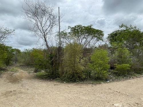 Terreno En Esquina En Venta Cholul