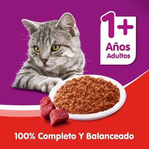 Imagen 6 de 7 de Whiskas Alimento Húmedo Lata Gato Adulto Carne 340gr X12 Un
