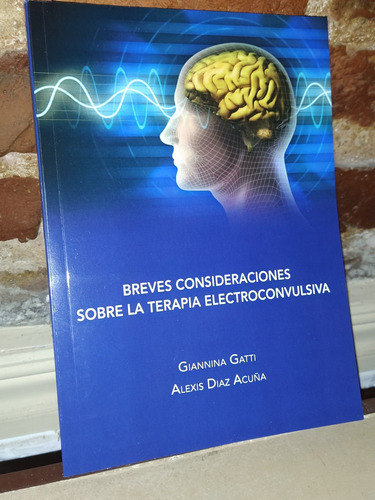 Breves Consideraciones Sobre La Terapia Electroconvulsiva 