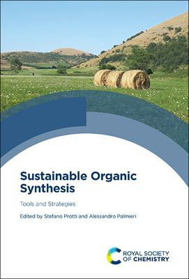 Libro Sustainable Organic Synthesis : Tools And Strategie...