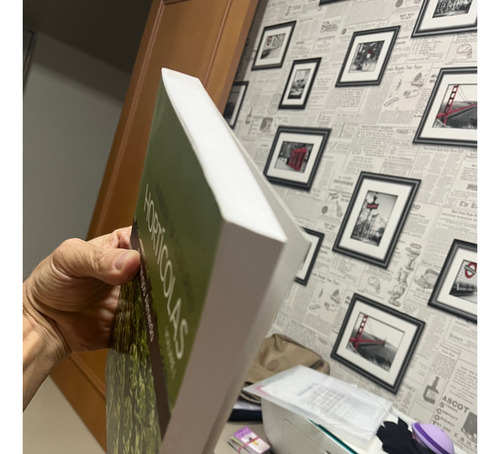 Manual De Culturas Hortícolas Volume Um (Usado)