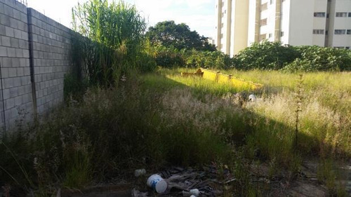 Imagem 4 de 7 de Terreno Para Aluguel, Taboão - São Bernardo Do Campo/sp - 69654