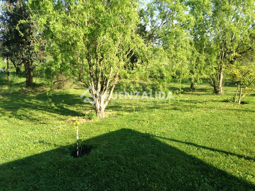 Parcela Con Casa En San Miguel De Colín, Talca