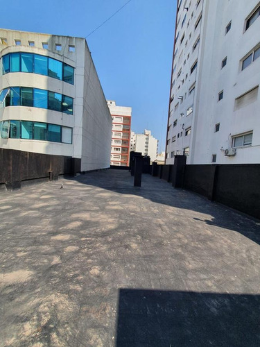 Imagen 25 de 25 de Local - Mar Del Plata