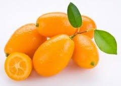 Combo Limonero 4 Est. Nar. Valencia. Man Criolla Kinoto