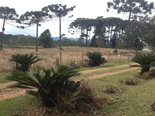 Imagem 8 de 30 de Chácara/fazenda/sítio Com 4 Dormitórios À Venda Por R$ 7.000.000,00 No Bairro Águas Claras - Piraquara / Pr - Ch1601