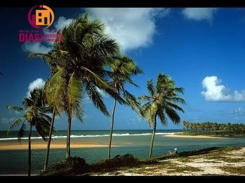 Imagem 18 de 26 de Casa À Venda No Bairro Barra Do Jacuípe - Camaçari/ba - 585