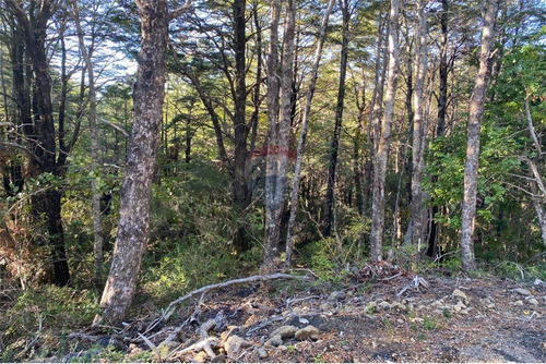 Venta Parcela Bosque Pucón