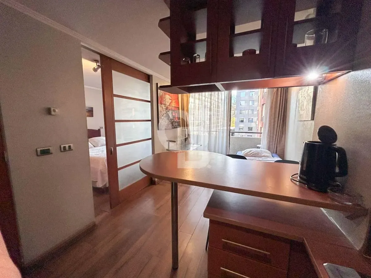 Imagen 2 de 9 de 1d/1b | Ideal Para Inversión | Providencia