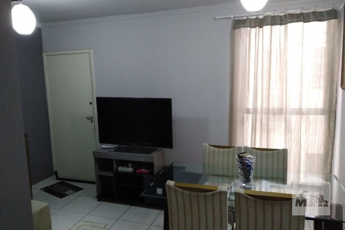 Imagem 4 de 15 de Cobertura À Venda No Jardim Riacho Das Pedras - Código 396391 - 396391