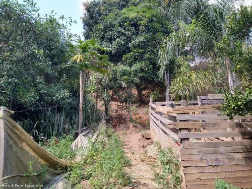 Imagem 8 de 15 de Chácara Para Venda Em Pedra Bela, Bairro Dos Lima - 1950_2-1183095