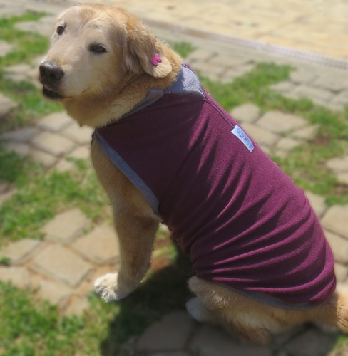Imagem 4 de 10 de Roupa De Cachorro Médio/ Grande Frio Inverno Agasalho