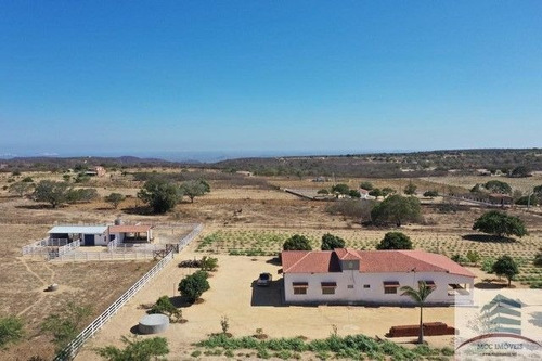 Imagem 12 de 18 de Granja A Venda Lagoa Nova