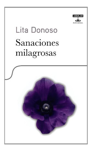 Libro Sanaciones Milagrosas Spanish Edition Tapa Blanda De L