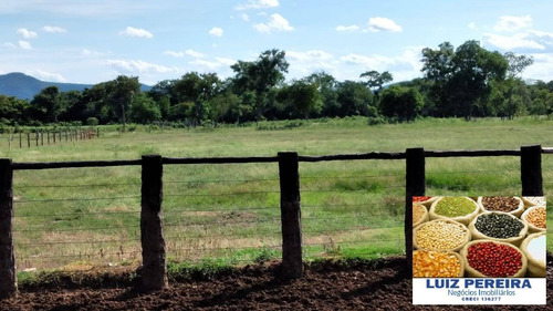 Fazenda À Venda Em Porto Murtinho - Ms - De 1.917 Hectares (pecuária) - 1635