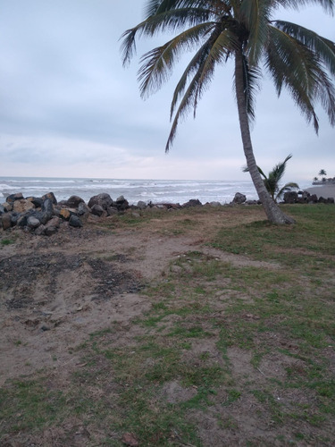 Terrenos En Costa Esmeralda Mpio. De Tecolutla Veracruz