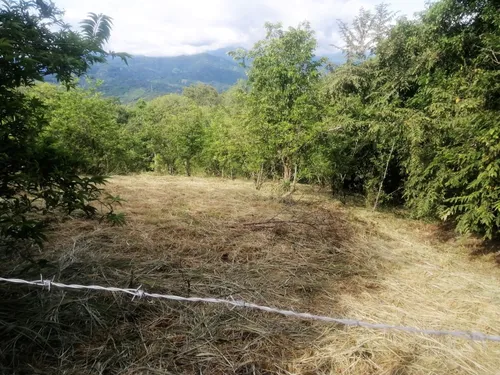 Lote En La Mesa, San Joaquín, Vereda Baltimore