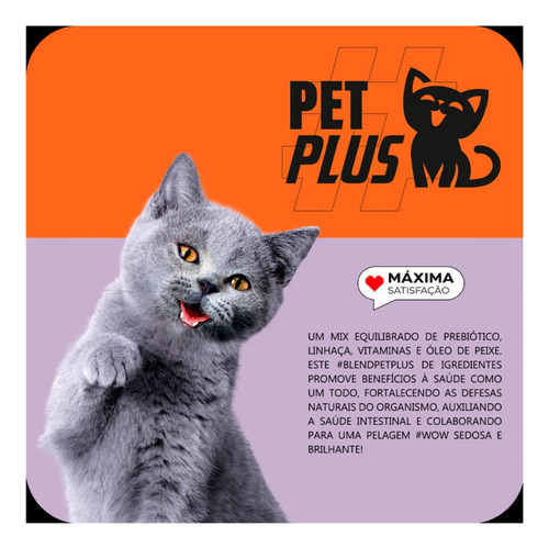 Max Cat Ração Filhotes Sabor Frango 20kg