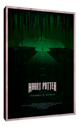 Cuadros Poster Harry Potter Camara Secreta M 20x29 (lcs (1))