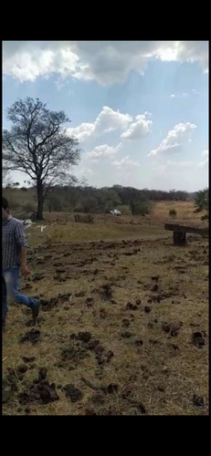 Imagem 7 de 13 de Fazenda Montada Pra Pecuária Município Unai