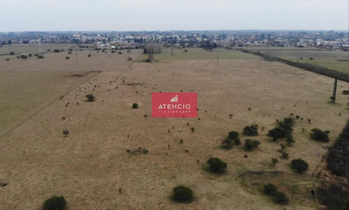 Imagen 5 de 16 de Campo De 20 Has Ubicado En Las Afueras De Nogoya