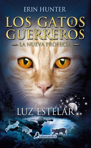 Gatos Guerreros Nueva Profecía 4 / Hunter (envíos)