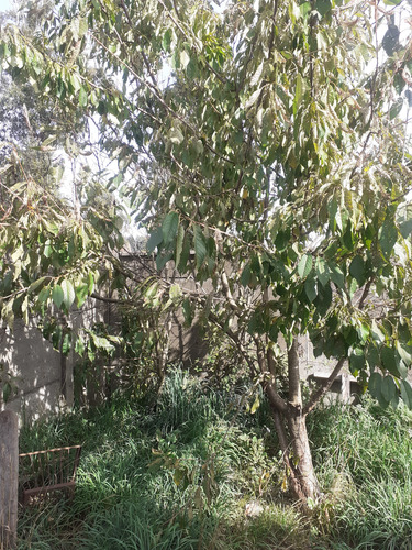 Se Vende Casa En Sector De San Ramón, Padre Las Casas