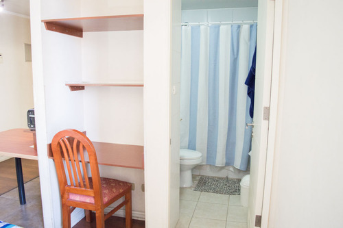Arriendo Departamento Amoblado Studio - Santiago (3998)