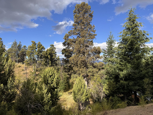 Terreno En Trevelin