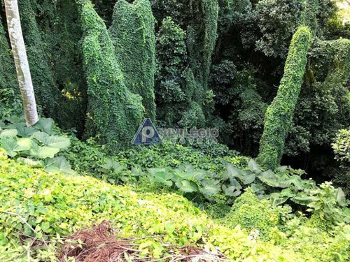 Imagem 3 de 17 de Terreno No Cosme Velho - 12131