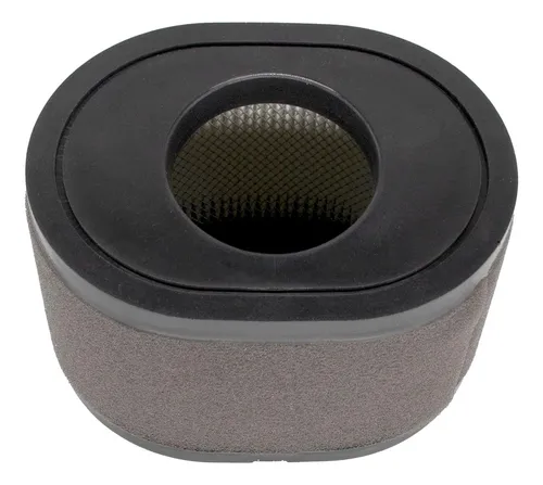 comprar Loncin Filtro De Aire Motor (180100109-0001)