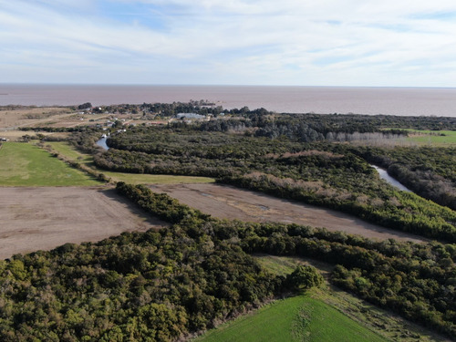 Imagen 6 de 10 de Campo En Venta Sobre Ruta Y Arroyo Navegable