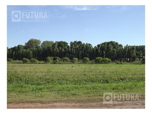 Imagen 9 de 10 de Campo Madero - Barrio Abierto Residencial - Ibarlucea