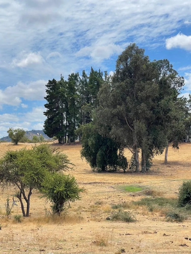 Terreno En Entorno Tranquilo Y Natural (130863)