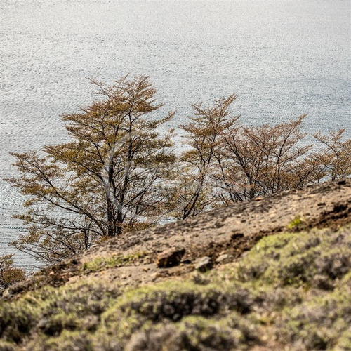 Imagen 13 de 15 de Sitio En Venta En Río Ibáñez / Cerro Castillo