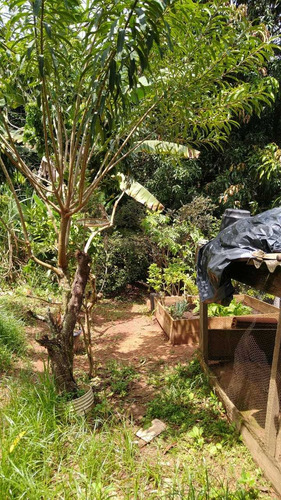 Imagem 15 de 16 de Sobrado - Zona Leste - 17333