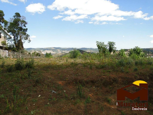 Imagem 11 de 15 de Lote À Venda - 2079