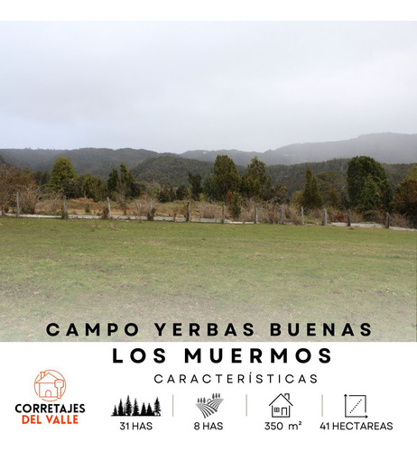 Campo Yerbas Buenas, Los Muermos