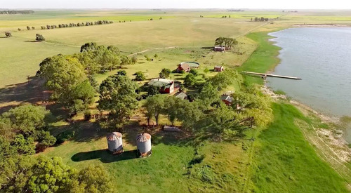 Imagen 6 de 8 de Campo En Venta - Trenque Lauquen