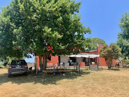 Imagen 2 de 30 de Venta - Chacra De 45 Has Muy Pintorescas En Villa Serrana