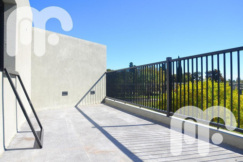 Imagen 6 de 30 de Venta Departamento - Tolosa