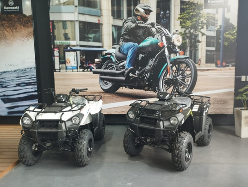 Imagen 11 de 15 de Kawasaki Brute Force 300