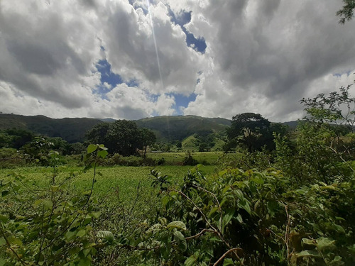 Imagen 5 de 7 de Terreno En Venta En Bejuma Cód 138747