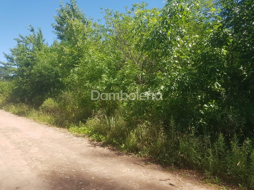 Imagen 6 de 7 de Terreno Lote En Venta Ubicado En General Rodríguez, G.b.a. Zona Oeste