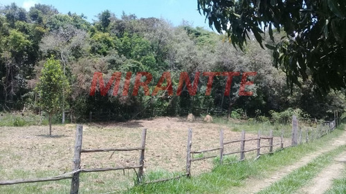 Imagem 3 de 5 de Terreno Em - Mairiporã, Sp - 333764