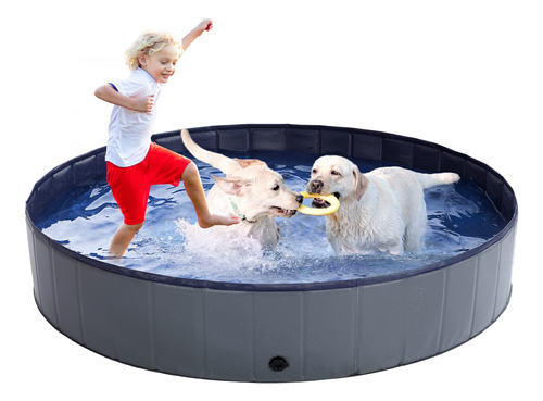 Piscina Para Perros - Piscina Para Perros Grandes, Piscina I