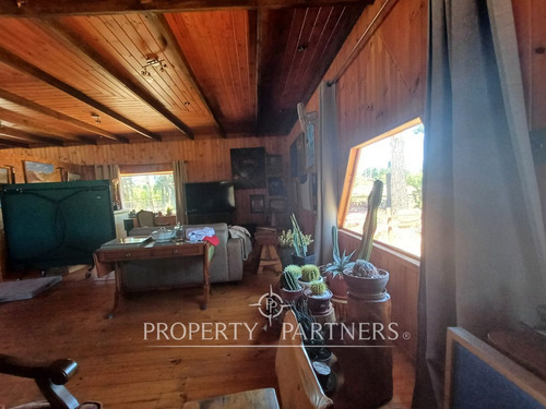 Algarrobo, Bosque De Algarrobo Parcela 100% Plana