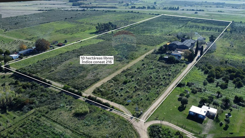 Venta Bodega O Deposito 10 Hectareas, Toledo Chico